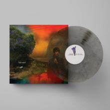 Sharon Van Etten - We've Been Going About This All Wrong (Marbled Smoke LP Vinyl)