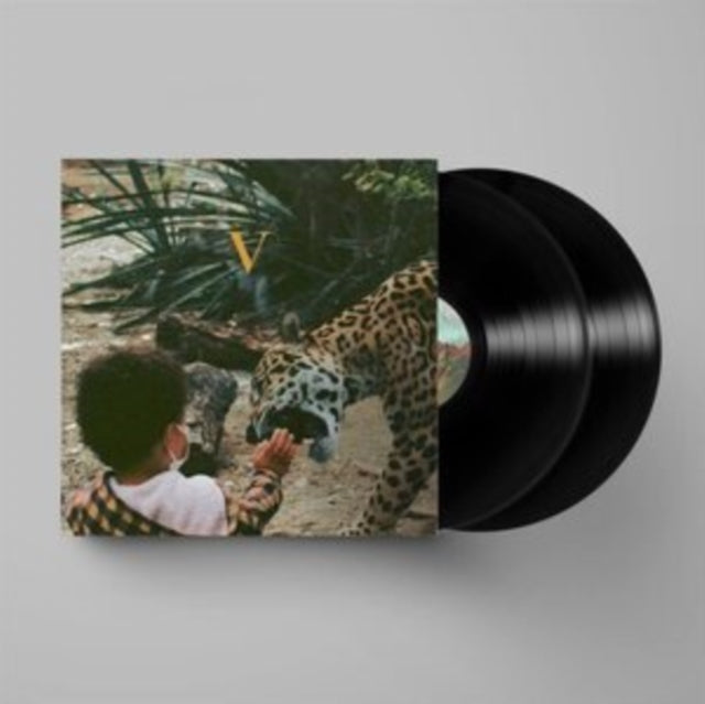 Unknown Mortal Orchestra - V (2LP)