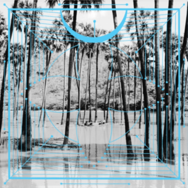 Four Tet - Pink - LP Vinyl