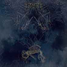 Severed Within (Random Mixed Color LP Vinyl)
