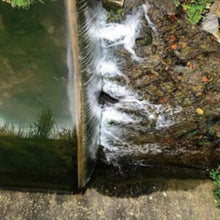 Jessica Moss - Phosphenes (180G) - LP Vinyl