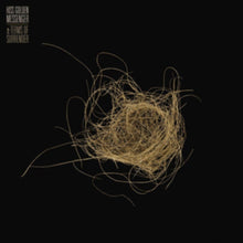 Hiss Golden Messenger - Terms Of Surrender - CD