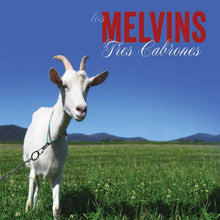 Tres Cabrones (Baby Blue LP Vinyl)
