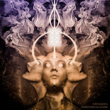 Echoes From The Universe