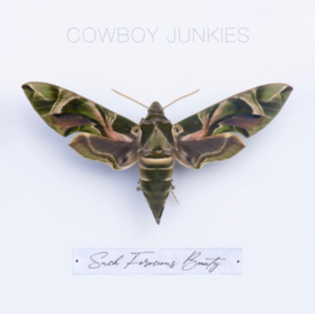 Cowboy Junkies - Such Ferocious Beauty (Translucent Green LP Vinyl)