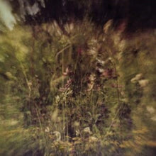 Pluralone - Wile / Remembered (Purple 7Inch) - 7 Inch Vinyl