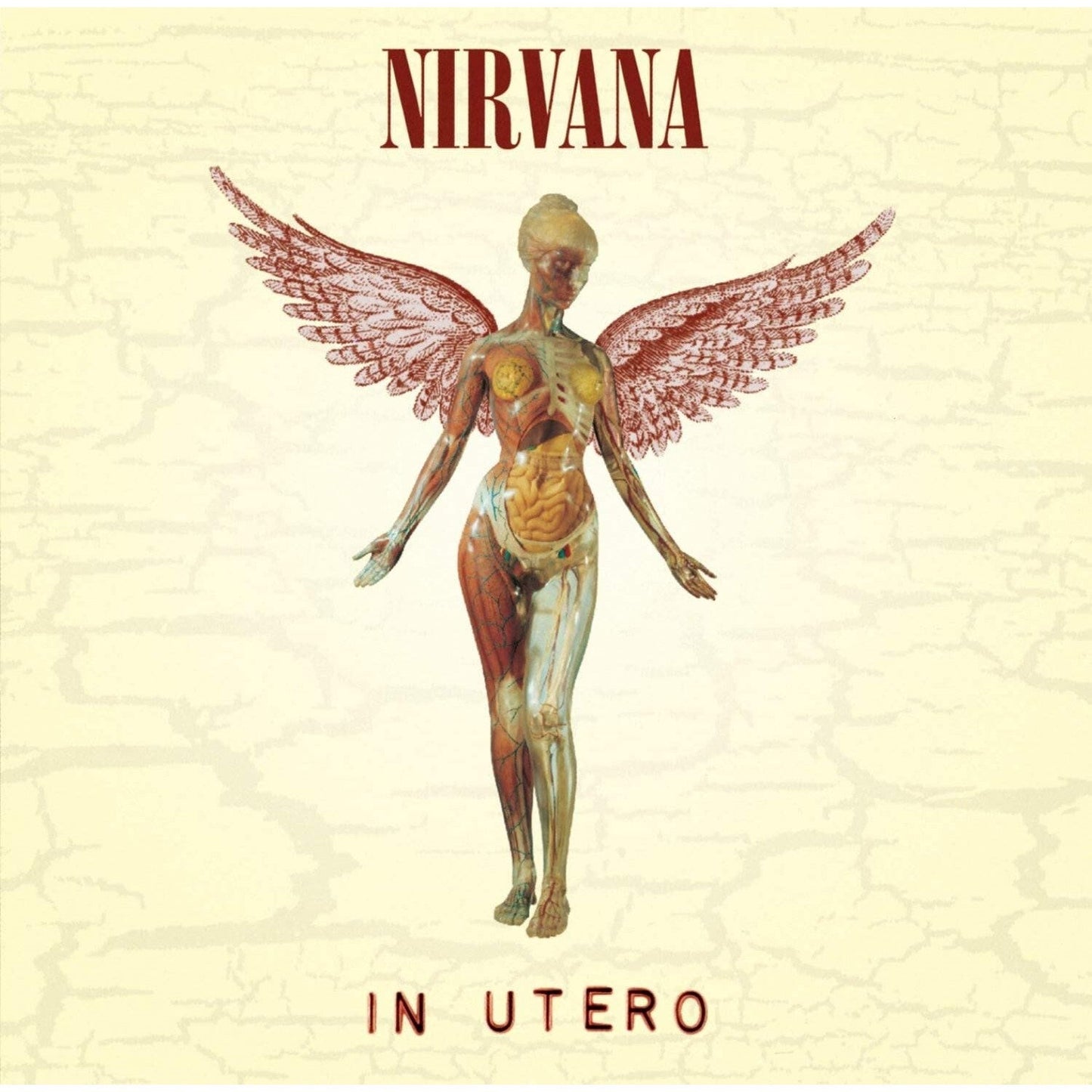 In Utero (180G/33-1/3 RPM)