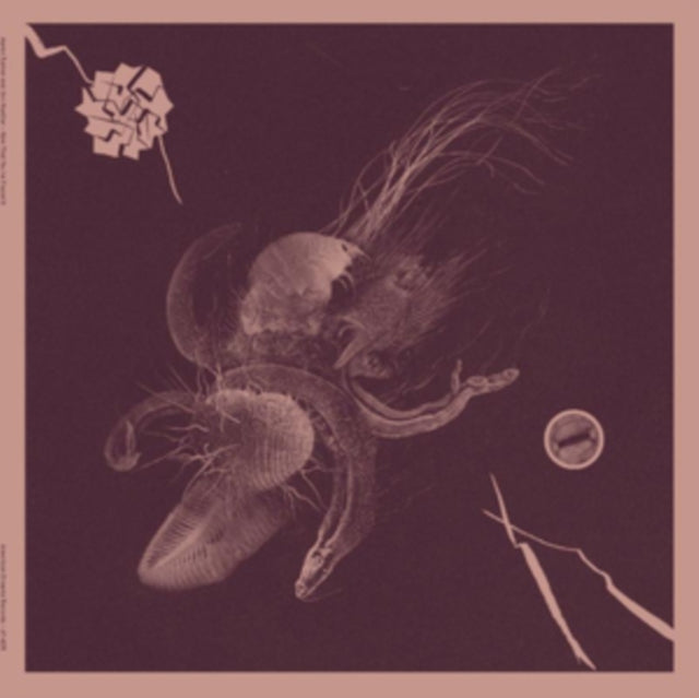 Aaron & Jon Mueller Turner - Now That You've Found It - LP Vinyl