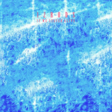 12 Rods - If We Stayed Alive - LP Vinyl