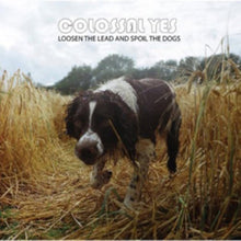 Colossal Yes - Loosen The Lead & Spoil The Dogs - LP Vinyl