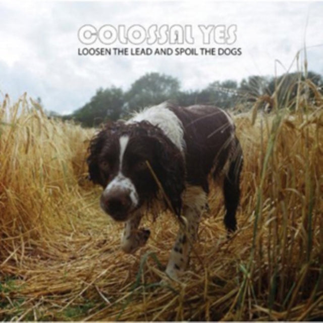 Colossal Yes - Loosen The Lead & Spoil The Dogs - LP Vinyl
