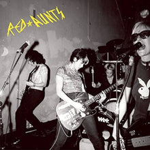 Red Aunts - Come Up For A Closer Look - LP Vinyl