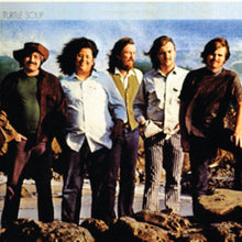 Turtles - Turtle Soup - LP Vinyl