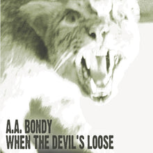 A.A. Bondy - When The Devil's Loose - LP Vinyl