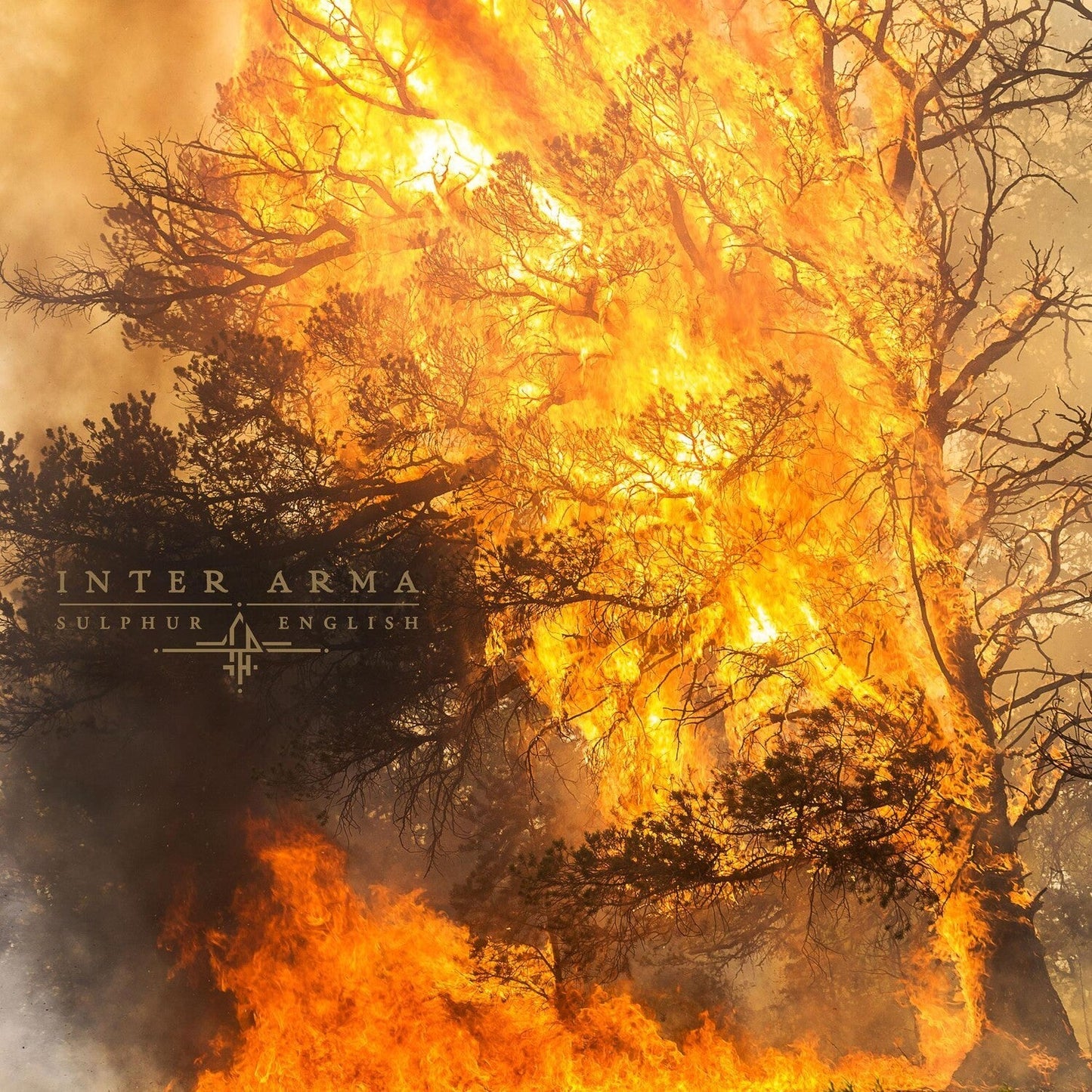 Sulphur English (Gold Nugget Vinyl/2LP)