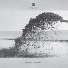 While You Are There (2LP)
