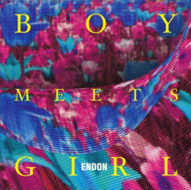 Boy Meets Girl (Virgin LP Vinyl/Dl Card)