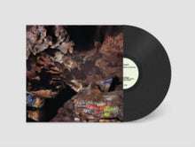 Joseph; Luke Richardson; Cleek Schrey Decosimo - Beehive Cathedral - LP Vinyl