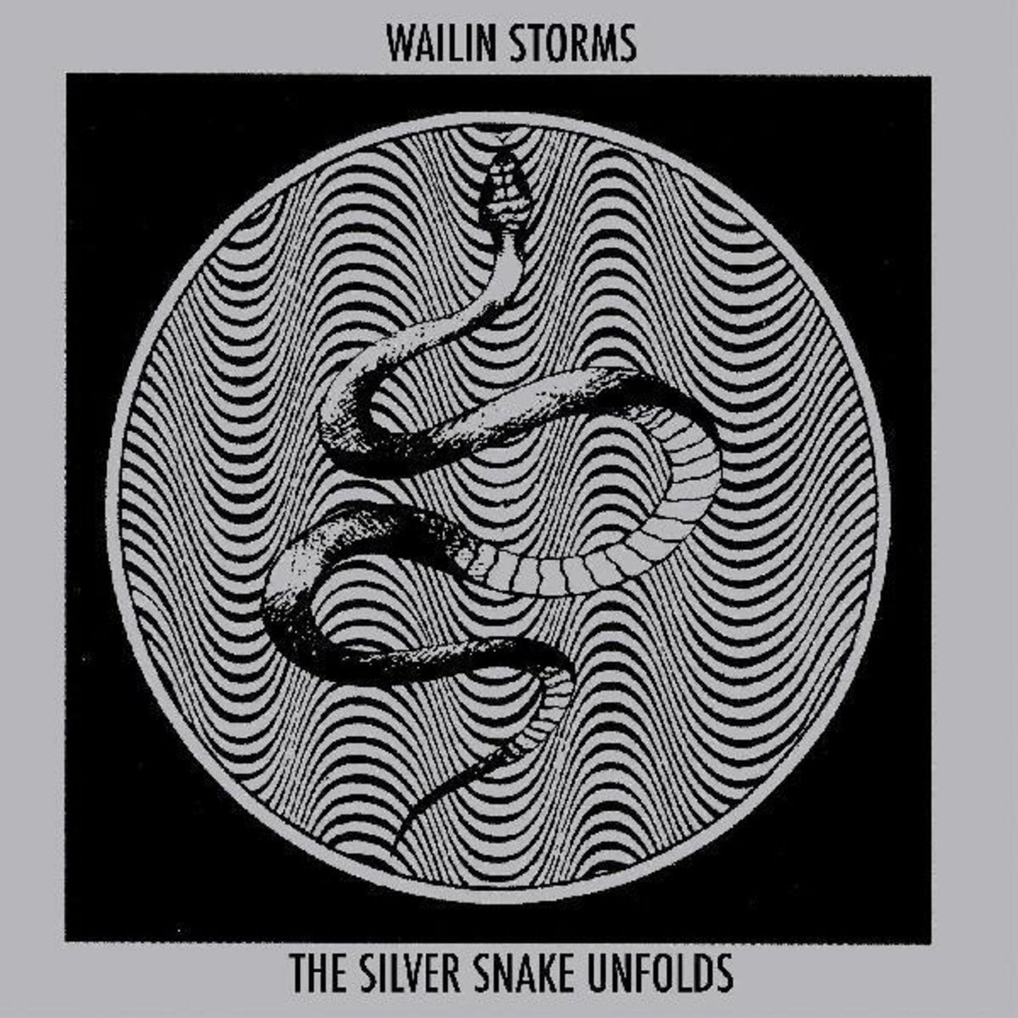 Silver Snake Unfolds (Blue & Black Galaxy LP Vinyl)