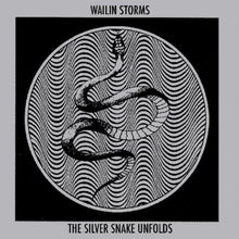 Silver Snake Unfolds (Blue & Black Galaxy LP Vinyl)