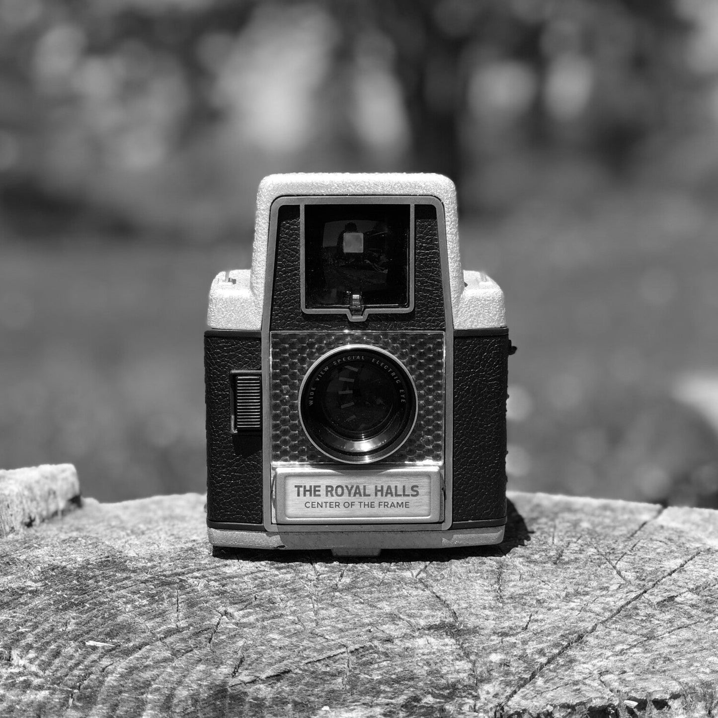 Center Of The Frame (180G)