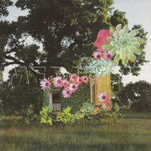 Medicine - Home Everywhere - LP Vinyl