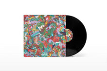 Sam Gendel - Audiobook - LP Vinyl