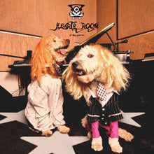 Frost Children - Hearth Room (Silver/Gold Vinyl/2LP)