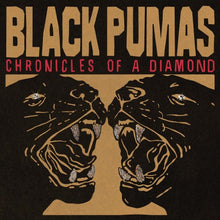 Black Pumas - Chronicles Of A Diamond - CD