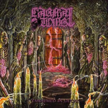 Carnal Tomb - Embalmed In Decay (Magenta/Black Marble LP Vinyl)