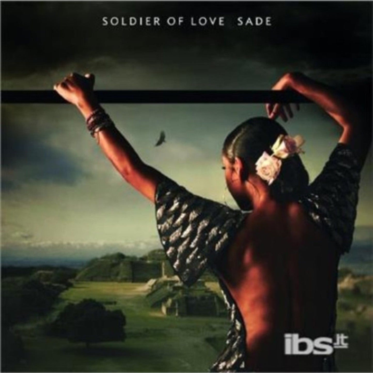 Soldier Of Love