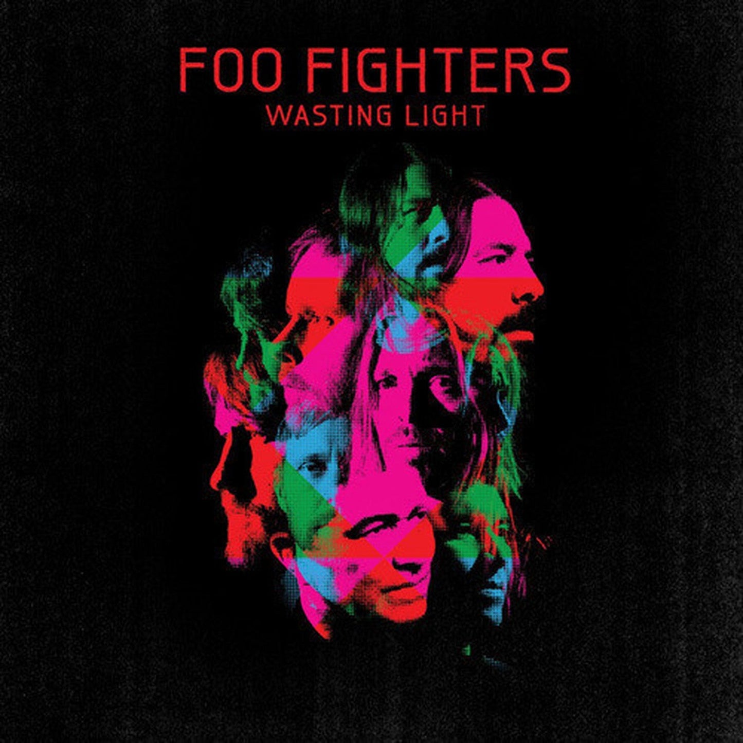 Wasting Light (2LP/Dl Card/Gatefold)