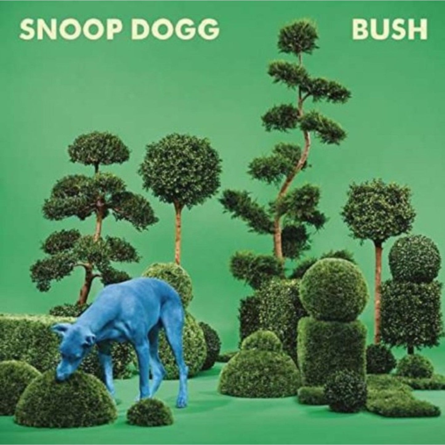 Bush (150G/Dl Card/Blue LP Vinyl)