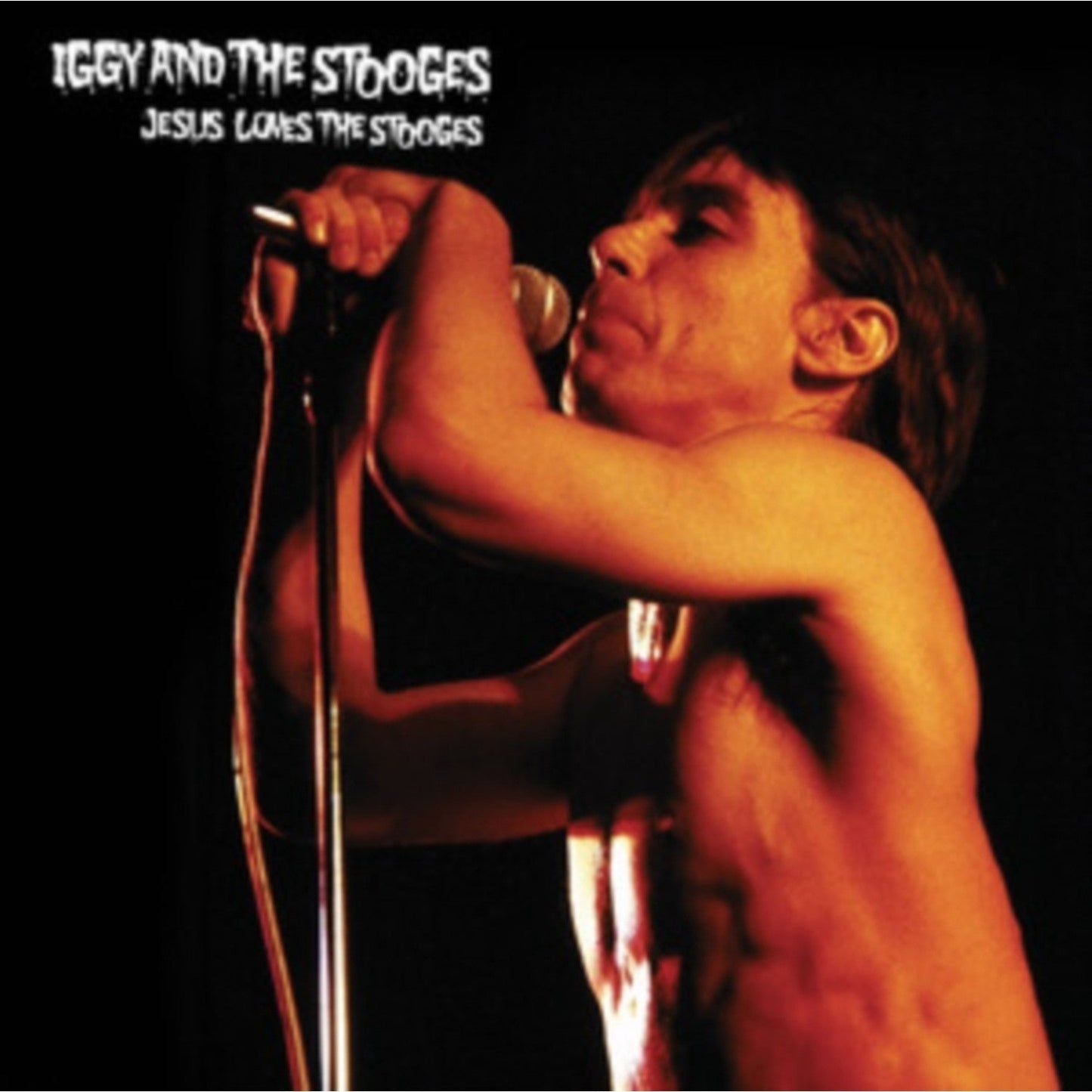 Jesus Loves The Stooges