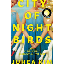 City of Night Birds