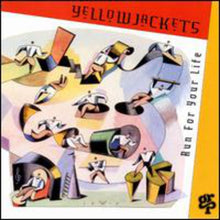 the album cover for The Yellowjackets - Run for Your Life