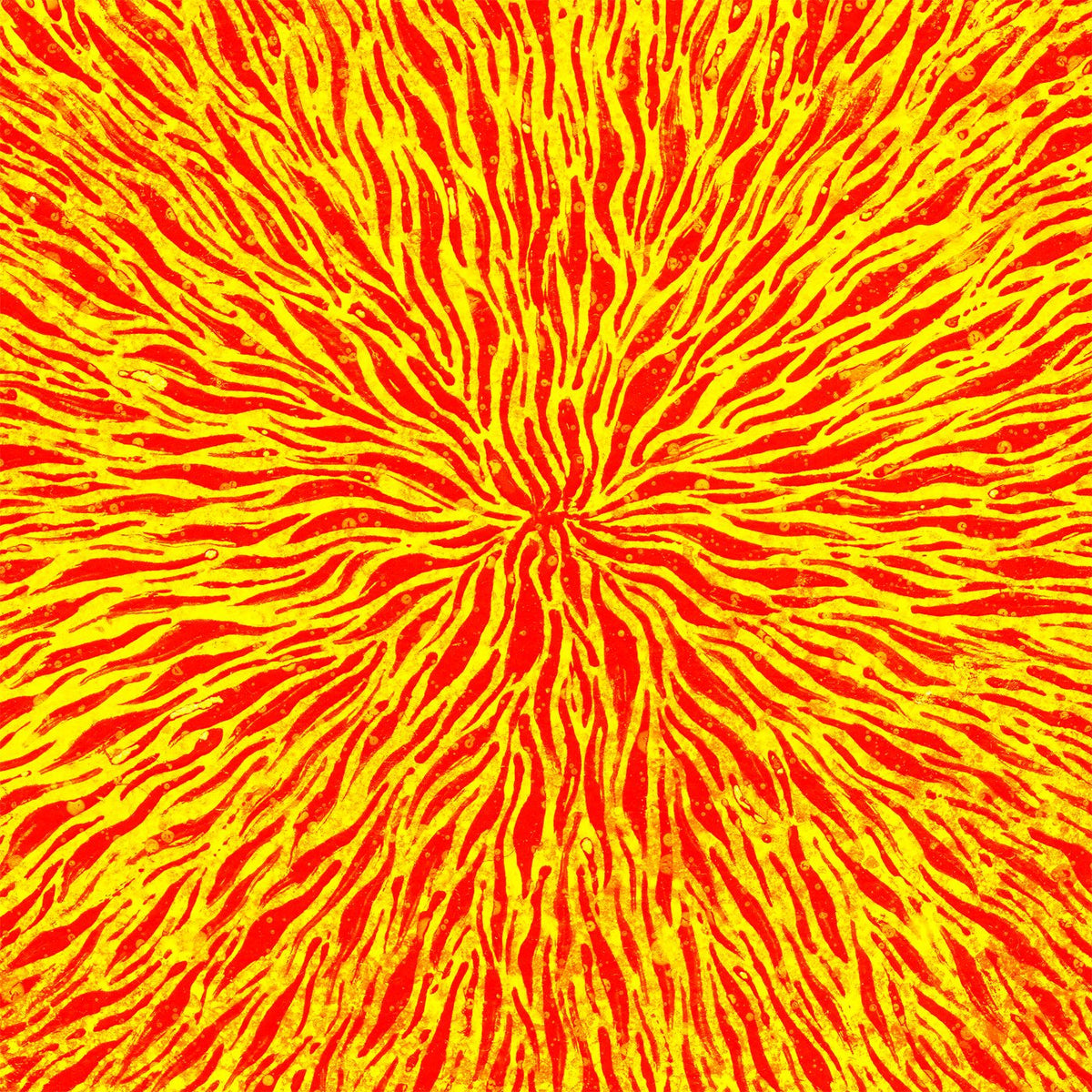 We Are All Fire [CD]