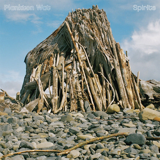 Spirits [Vinyl]