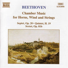 Various Artists - Chamber Music for Horns Winds & Strings / Various [CD]