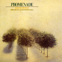 the album cover for Burke/Odomhnaill - Promenade