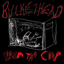 the album cover for Buckethead - From the Coop