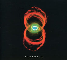 the album cover for Pearl Jam - Binaural