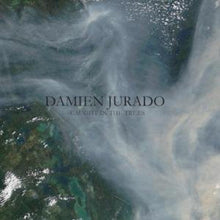 Damien Jurado - Caught in the Trees [LP] Vinyl Record