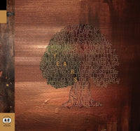 the album cover for Years - Years [Vinyl]