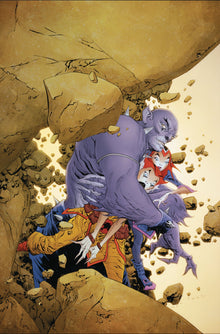 Thundercats #17 Q 1:20 Jae Lee & Chung Virgin (08/06/2025) Dynamite