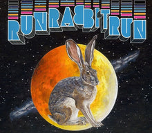 Sufjan Stevens - Run Rabbit Run Music CD