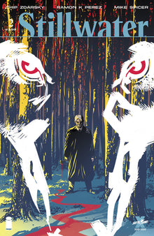 Stillwater #2 Chip Zdarsky (Mr) (10/21/2020) Image