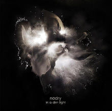 Nedry - In A Dim Light [CD]