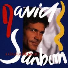 the album cover for David Sanborn - Change of Heart