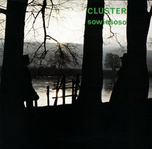 Cluster - Sowiesoso [CD]
